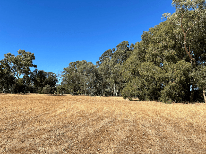 Lot 11 Coolup Road East, COOLUP, WA 6214