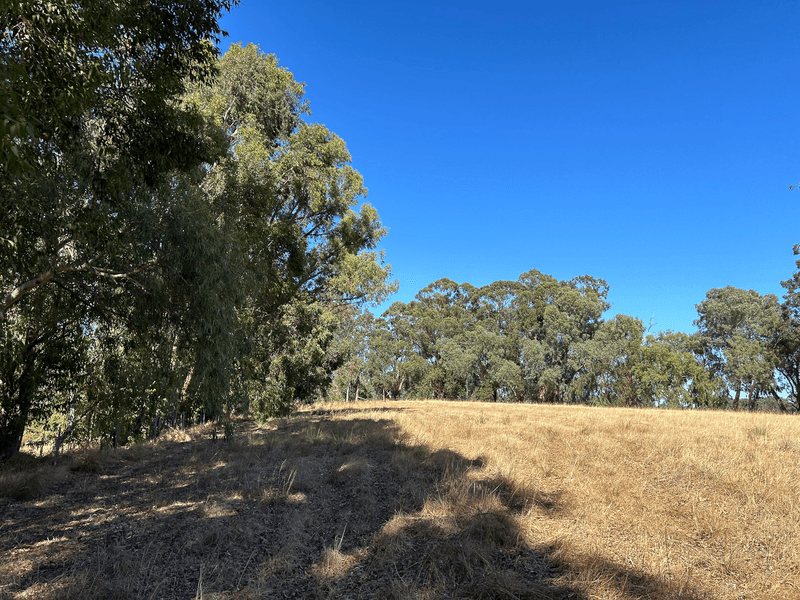 Lot 11 Coolup Road East, COOLUP, WA 6214