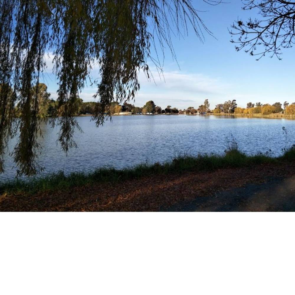 151-155 Murray street, Finley, NSW 2713