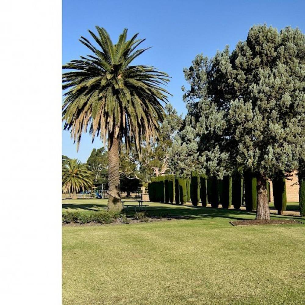 151-155 Murray street, Finley, NSW 2713