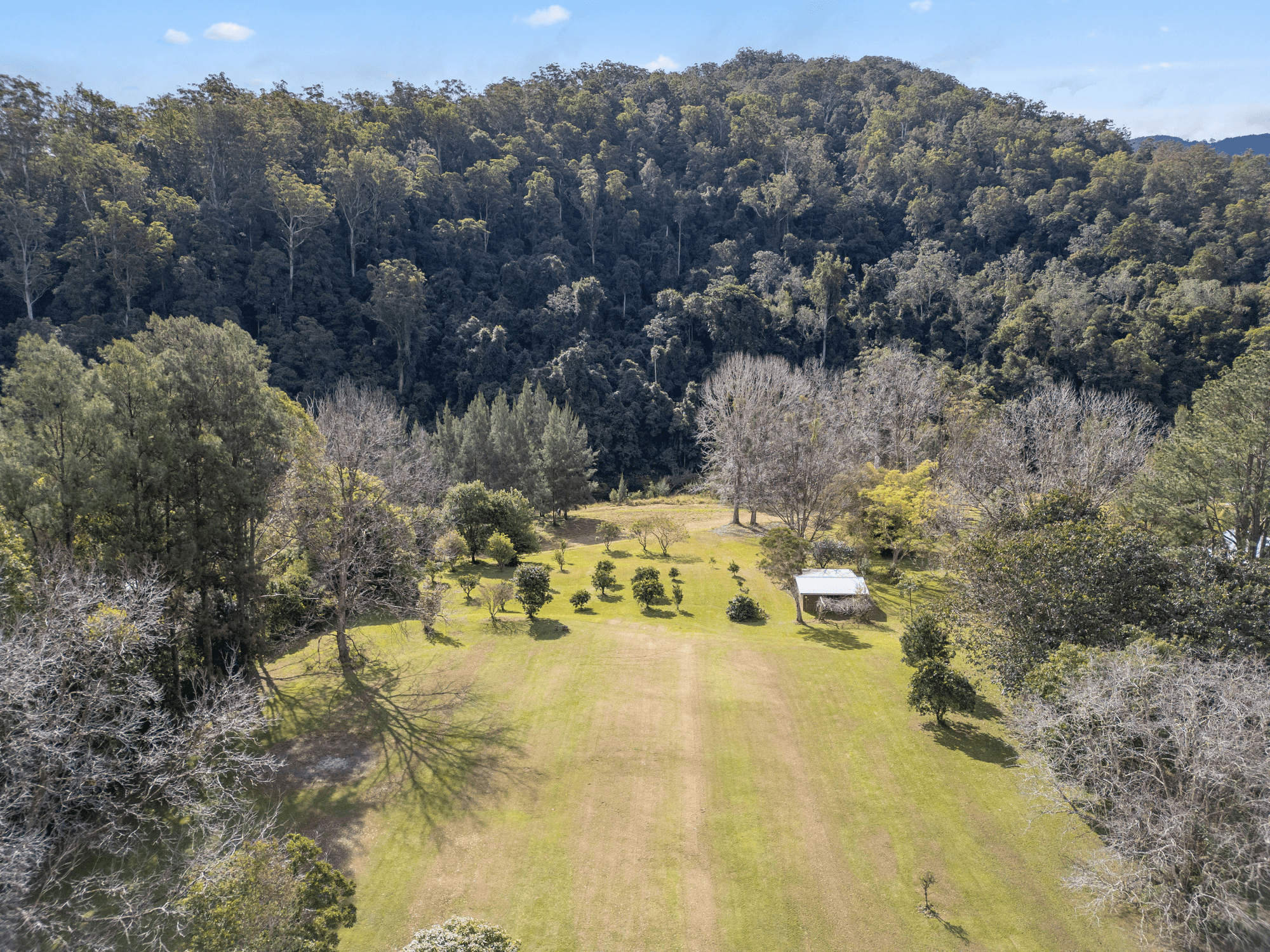 1476 Darkwood Road, Bellingen, NSW 2454