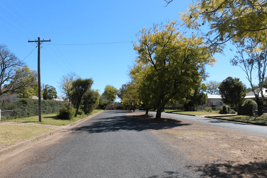 21 Finch Street, BINGARA, NSW 2404