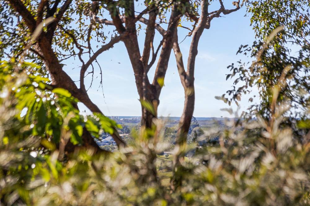 20 Woodchester Lane, ROSEMOUNT, QLD 4560