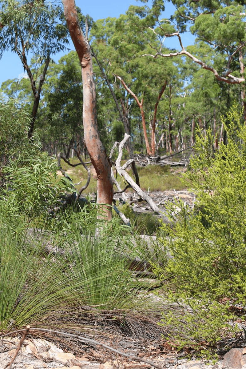 Lot 3 12560 Gwydir Highway, WARIALDA, NSW 2402