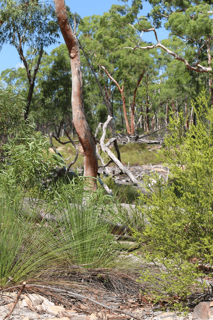 Lot 3 12560 Gwydir Highway, WARIALDA, NSW 2402