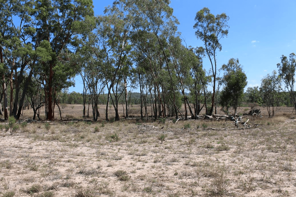 Lot 3 12560 Gwydir Highway, WARIALDA, NSW 2402