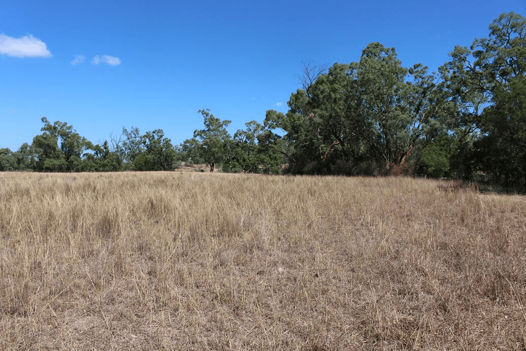 Lot 3 12560 Gwydir Highway, WARIALDA, NSW 2402