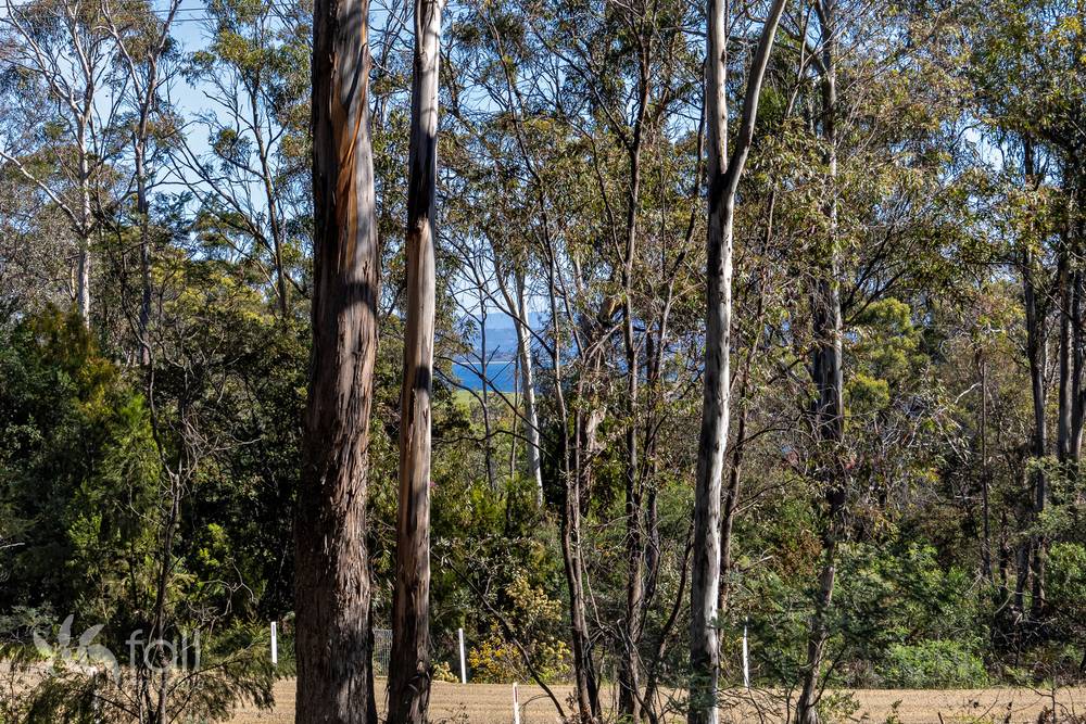 715 Dorans Road, SANDFORD, TAS 7020