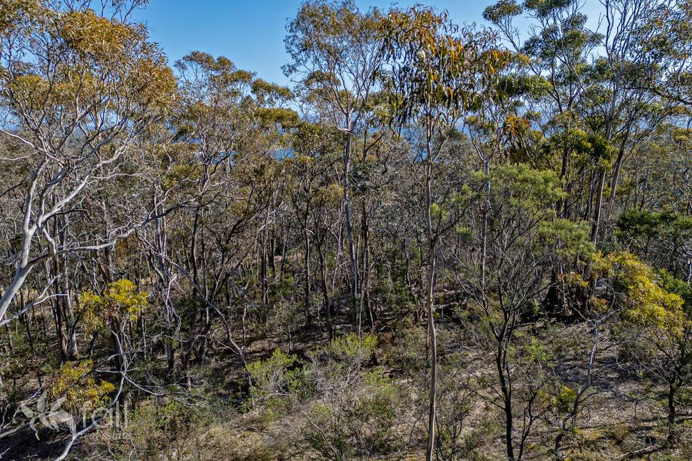 715 Dorans Road, SANDFORD, TAS 7020