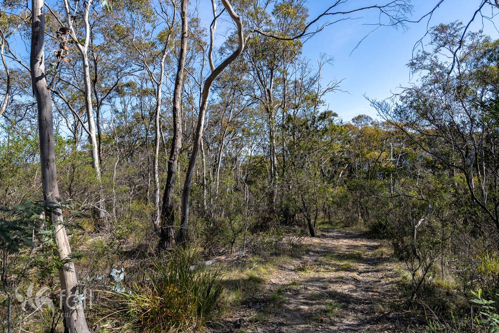715 Dorans Road, SANDFORD, TAS 7020