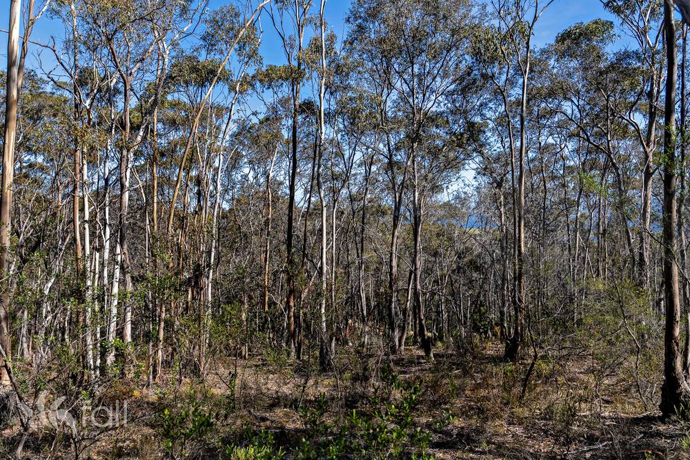 715 Dorans Road, SANDFORD, TAS 7020