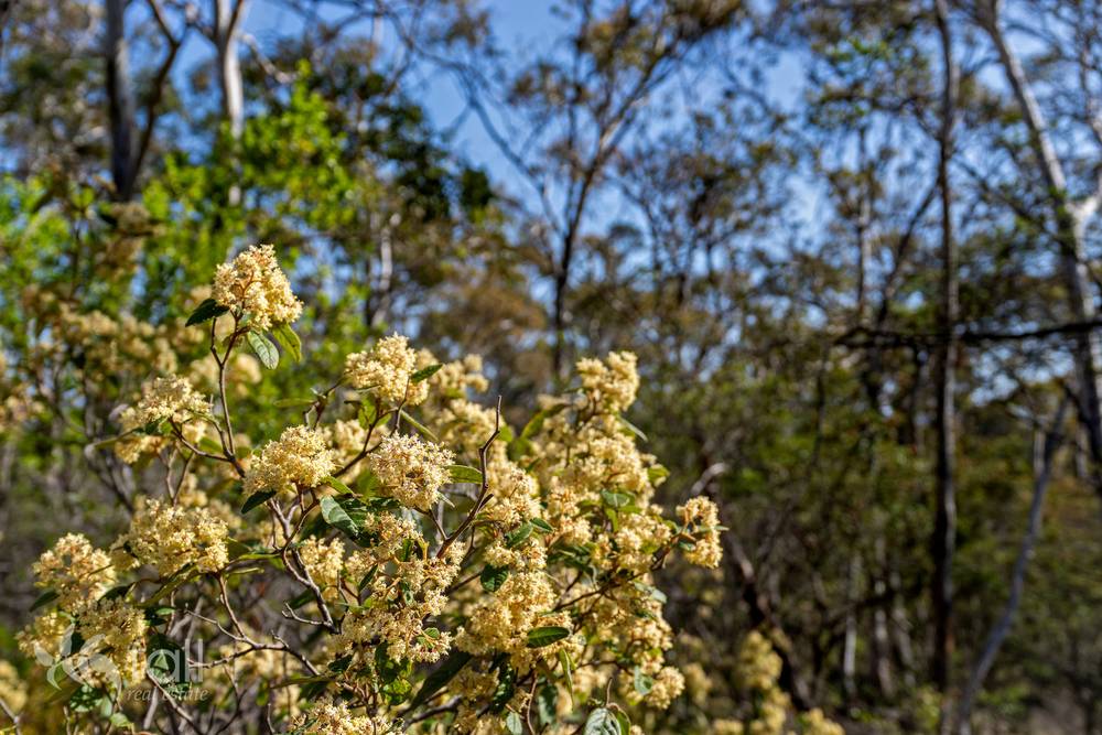 715 Dorans Road, SANDFORD, TAS 7020