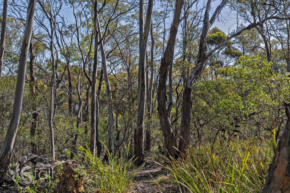 715 Dorans Road, SANDFORD, TAS 7020