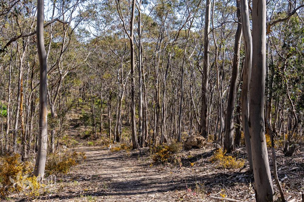715 Dorans Road, SANDFORD, TAS 7020
