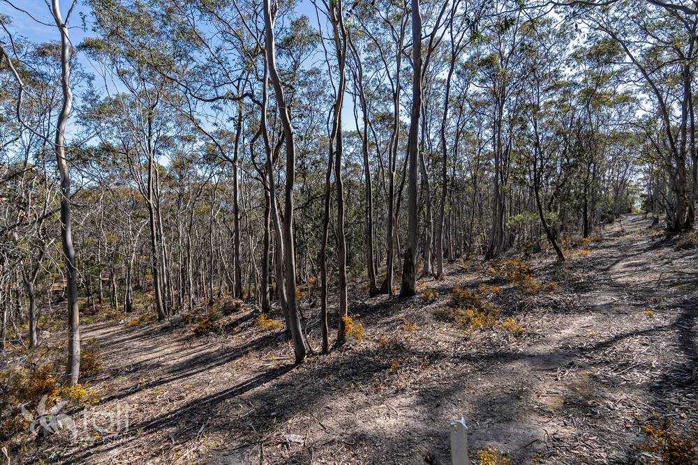 715 Dorans Road, SANDFORD, TAS 7020