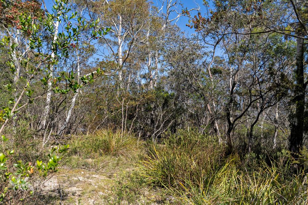 715 Dorans Road, SANDFORD, TAS 7020