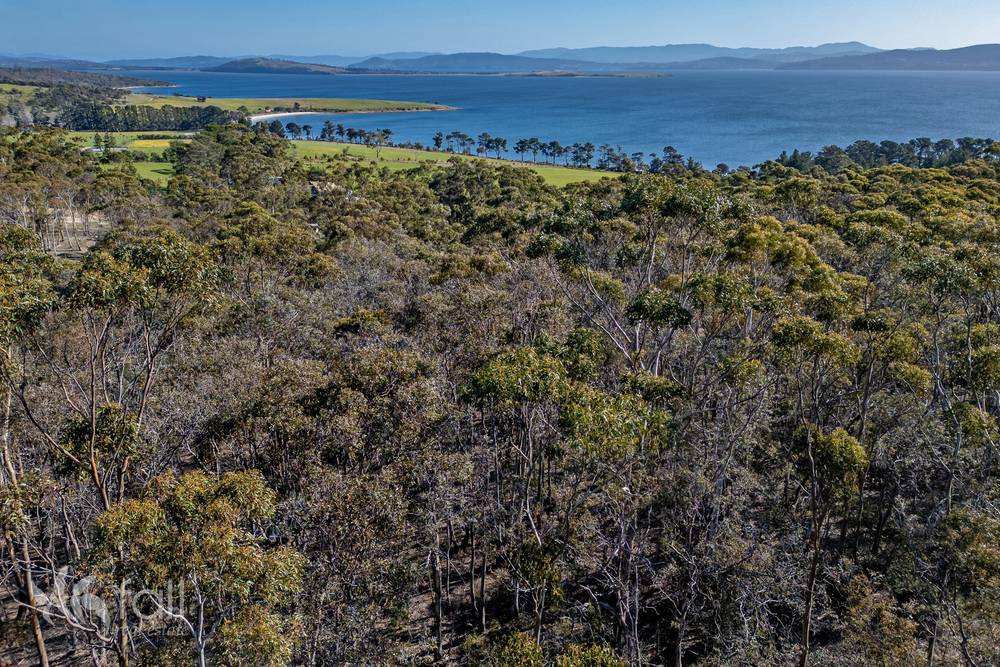 715 Dorans Road, SANDFORD, TAS 7020