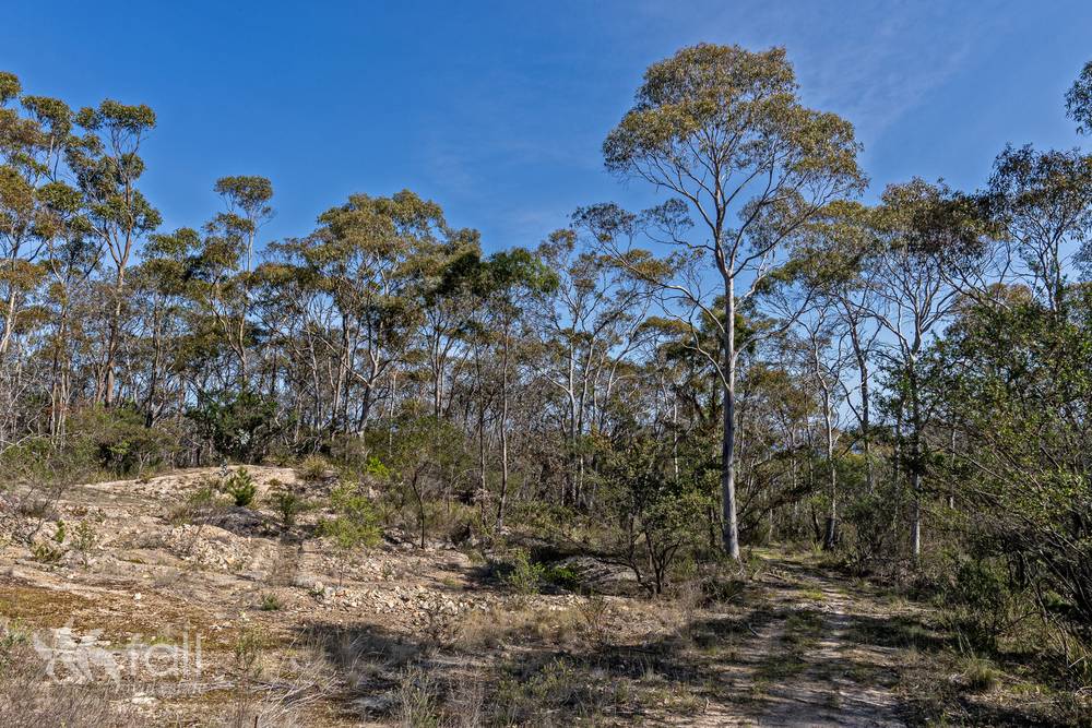 715 Dorans Road, SANDFORD, TAS 7020