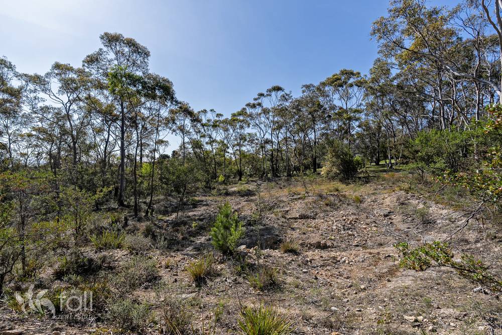 715 Dorans Road, SANDFORD, TAS 7020