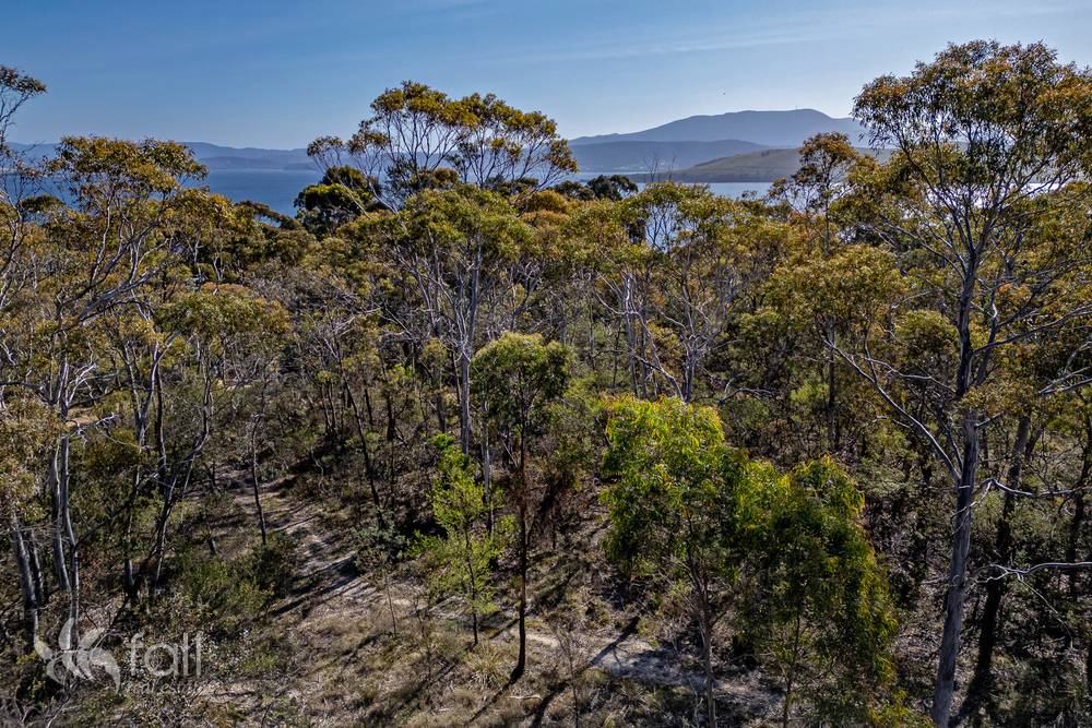 715 Dorans Road, SANDFORD, TAS 7020