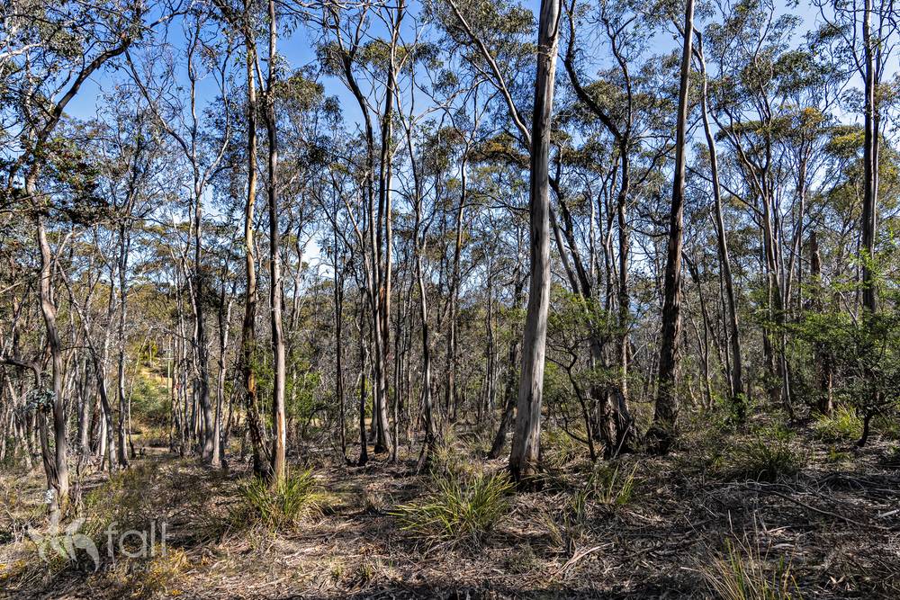 715 Dorans Road, SANDFORD, TAS 7020