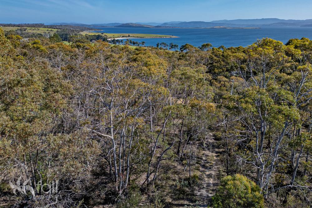 715 Dorans Road, SANDFORD, TAS 7020