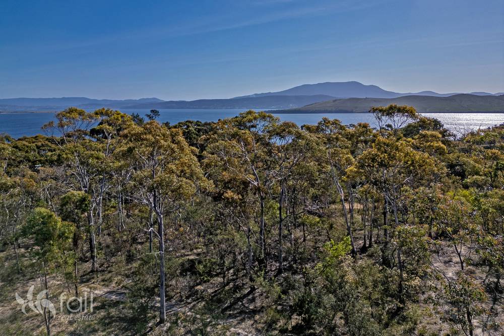 715 Dorans Road, SANDFORD, TAS 7020