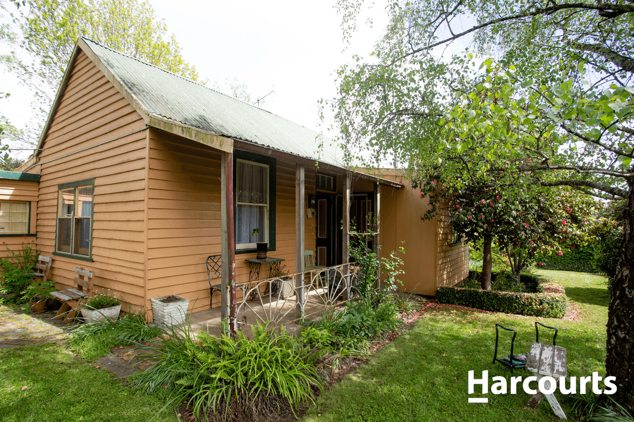 38 Lansdowne Place, DELORAINE, TAS 7304