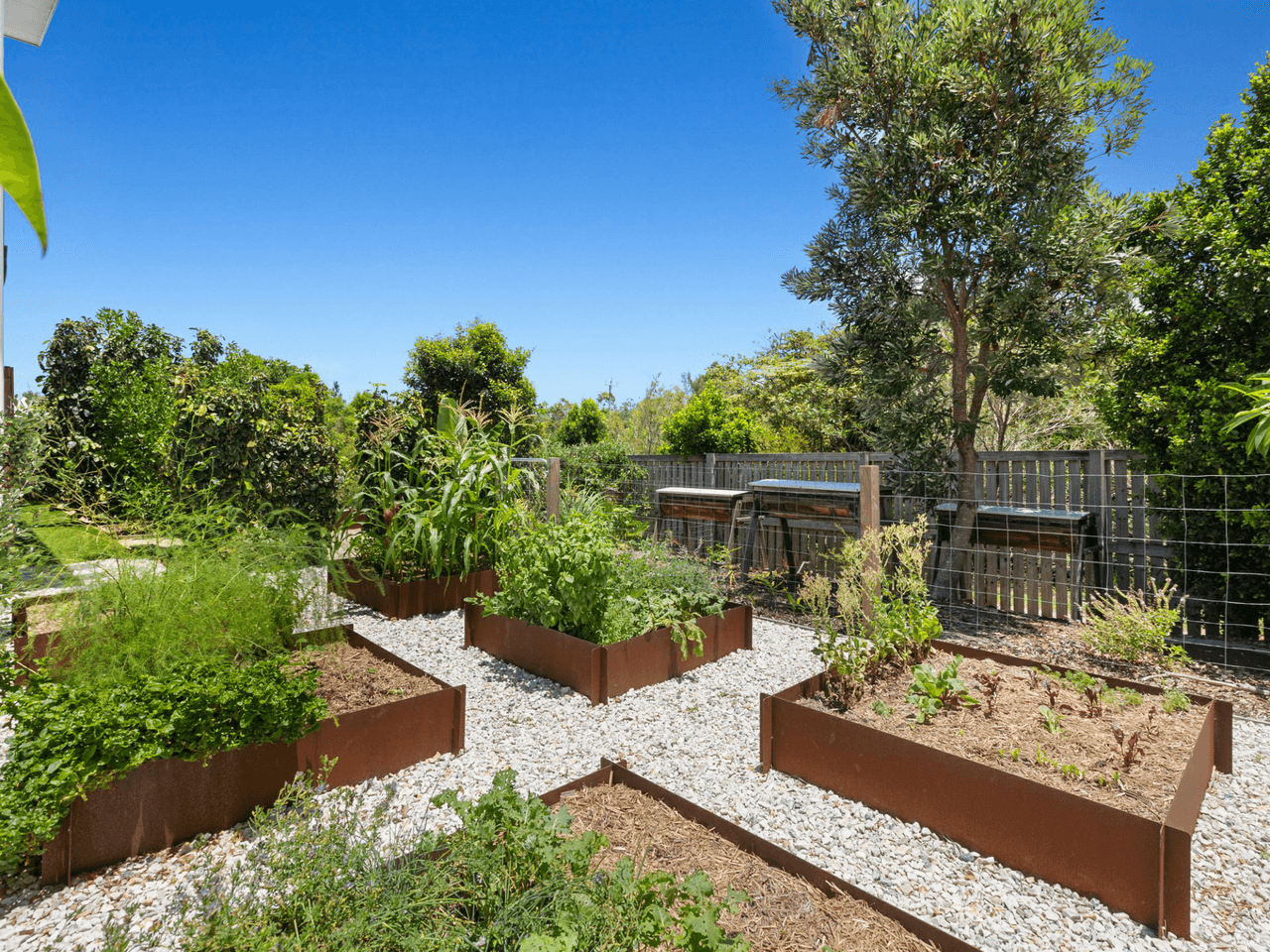 274 Casuarina Way, KINGSCLIFF, NSW 2487