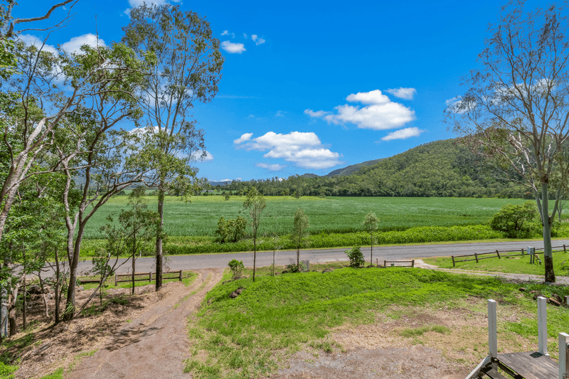 40 Brandy Creek Road, BRANDY CREEK, QLD 4800