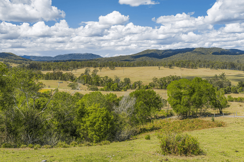 1298 Pipeclay Road, PIPECLAY, NSW 2446