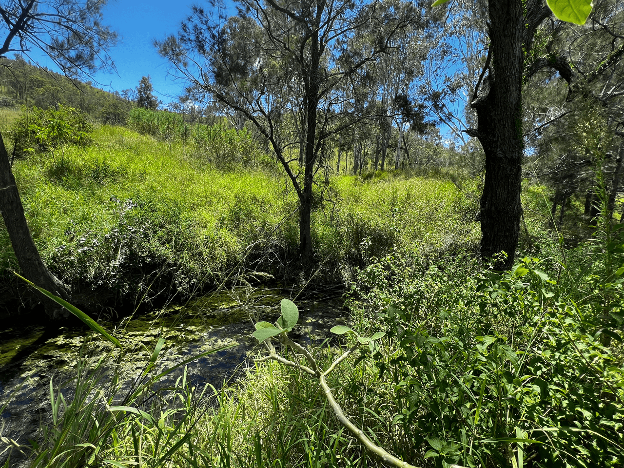 Lot 2 Gregors Creek Road, GREGORS CREEK, QLD 4313