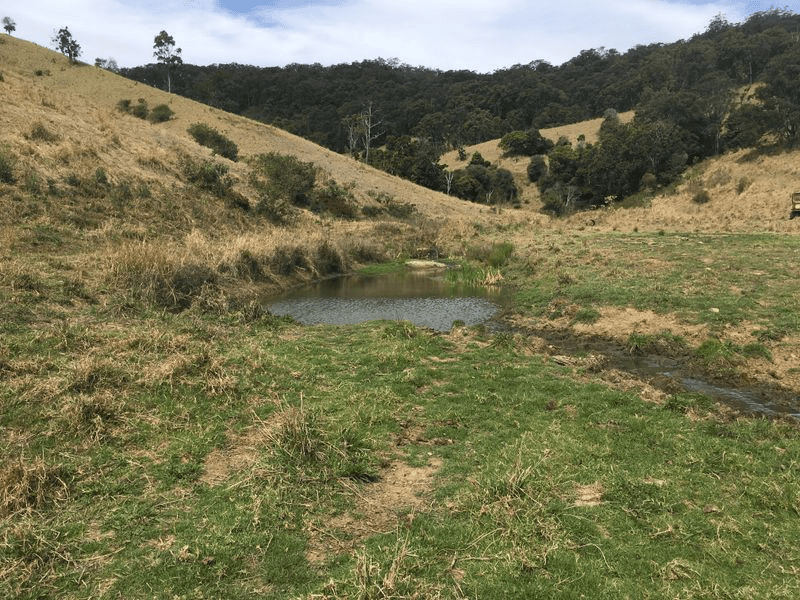 278 Bee Creek Road, EUNGELLA, QLD 4757