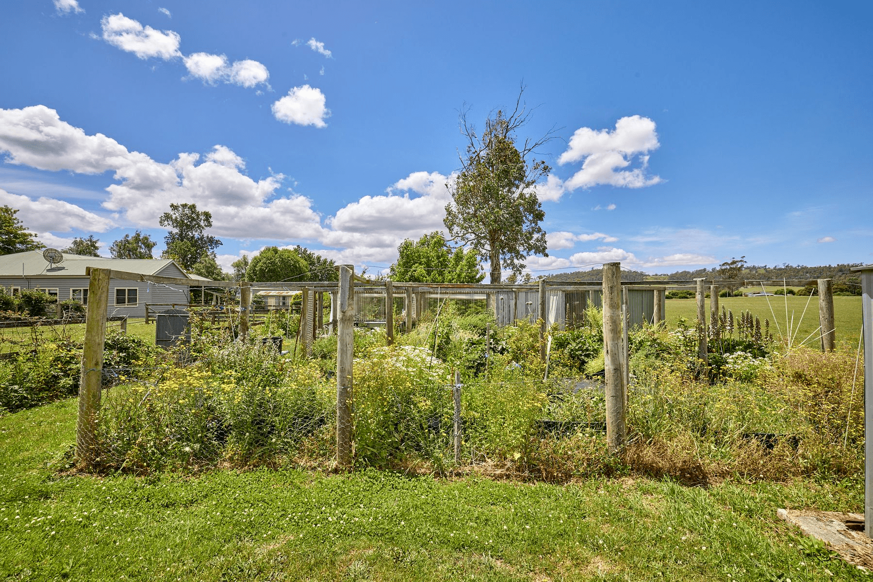 954. Caveside Road, Caveside, TAS 7304