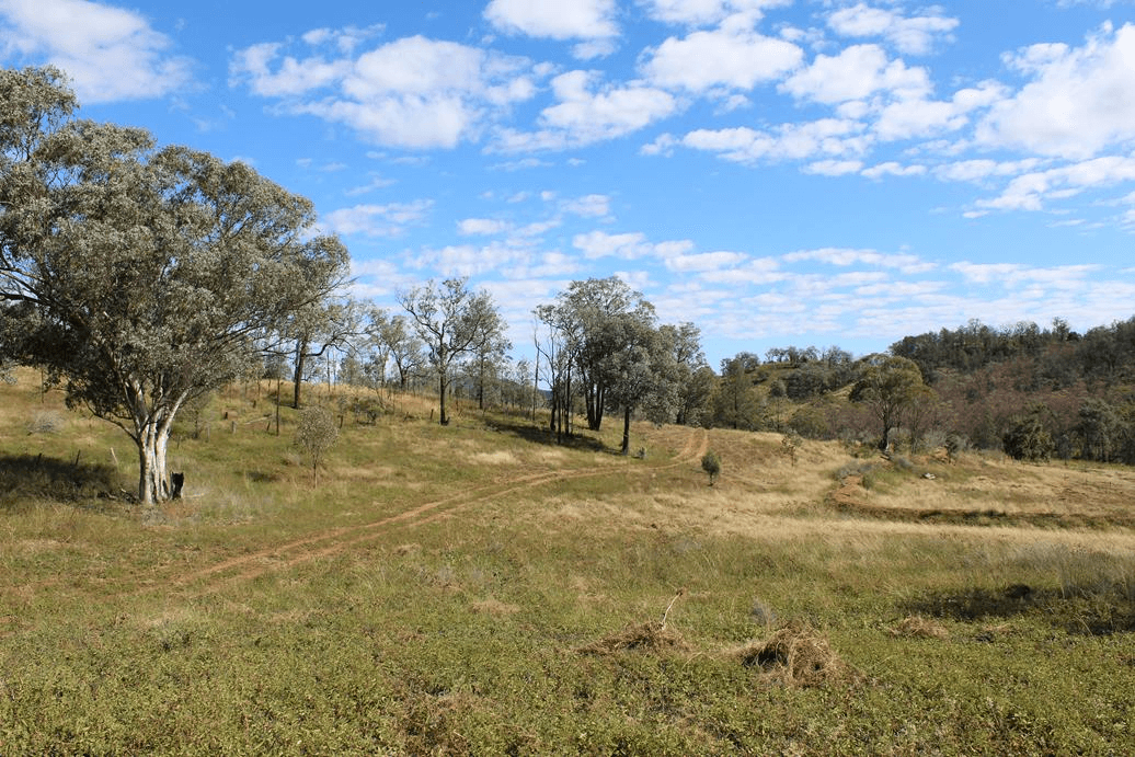 900 Whitlow Road, BINGARA, NSW 2404