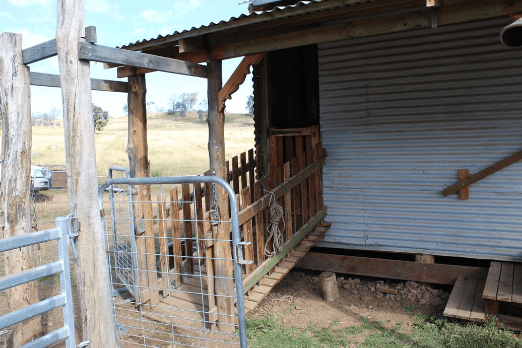 900 Whitlow Road, BINGARA, NSW 2404