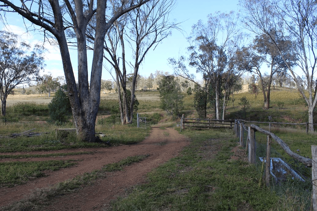 900 Whitlow Road, BINGARA, NSW 2404