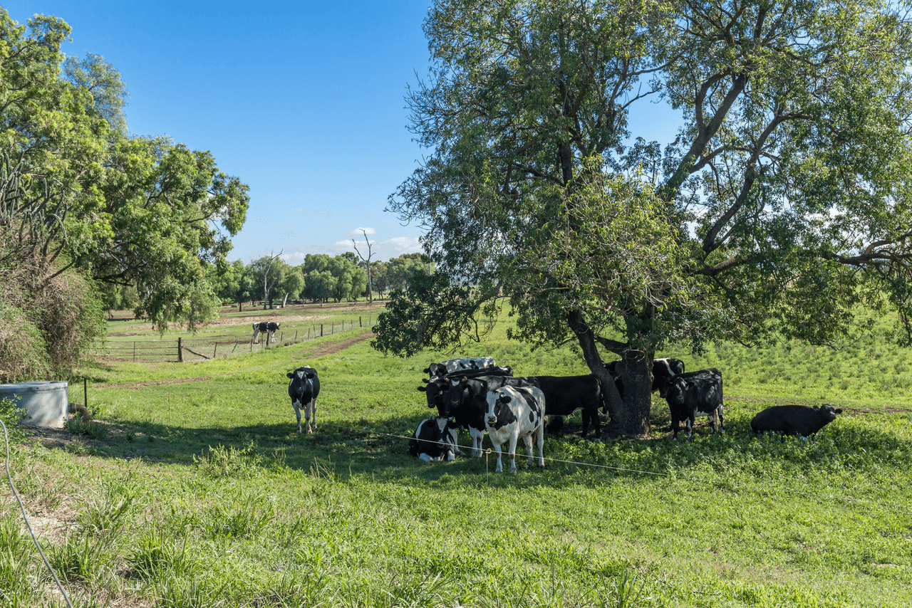 76 "Pindimar" Row, DENMAN, NSW 2328