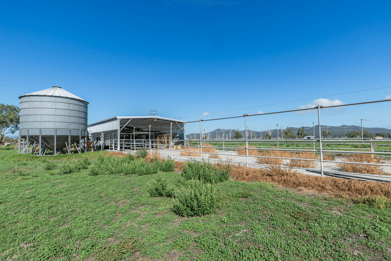 76 "Pindimar" Row, DENMAN, NSW 2328