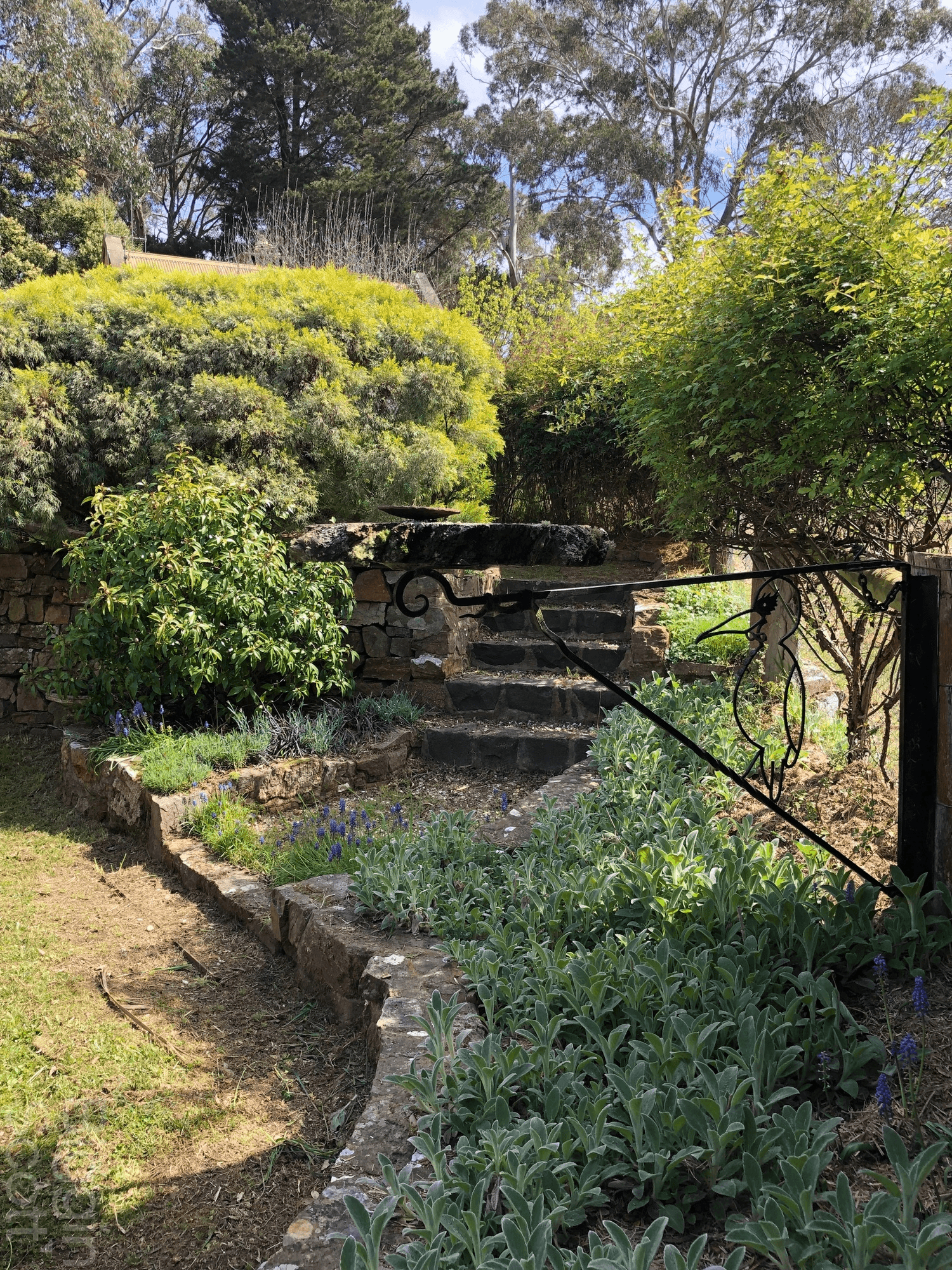 25 Woolnoughs Road, PORCUPINE RIDGE, VIC 3461