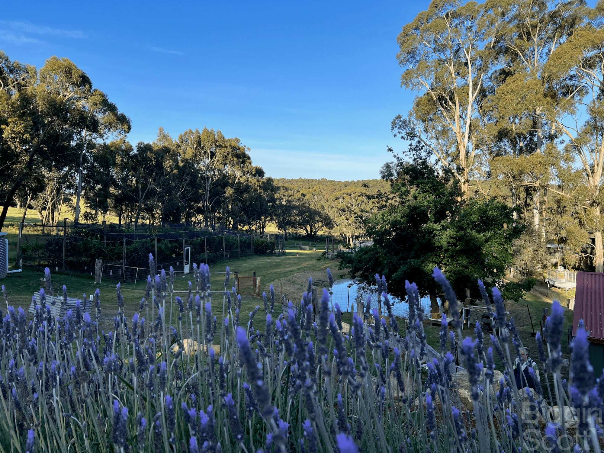 25 Woolnoughs Road, PORCUPINE RIDGE, VIC 3461