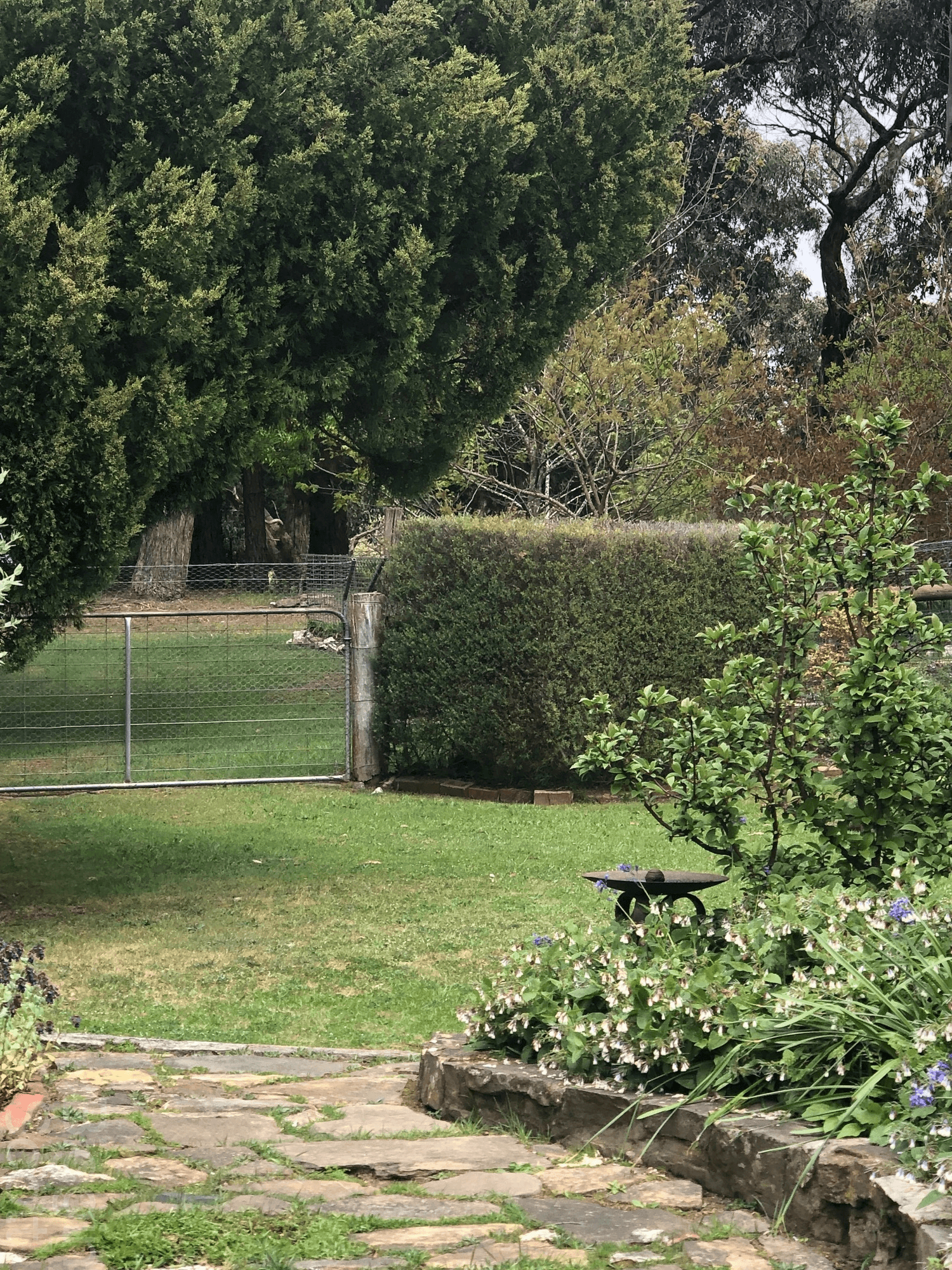 25 Woolnoughs Road, PORCUPINE RIDGE, VIC 3461