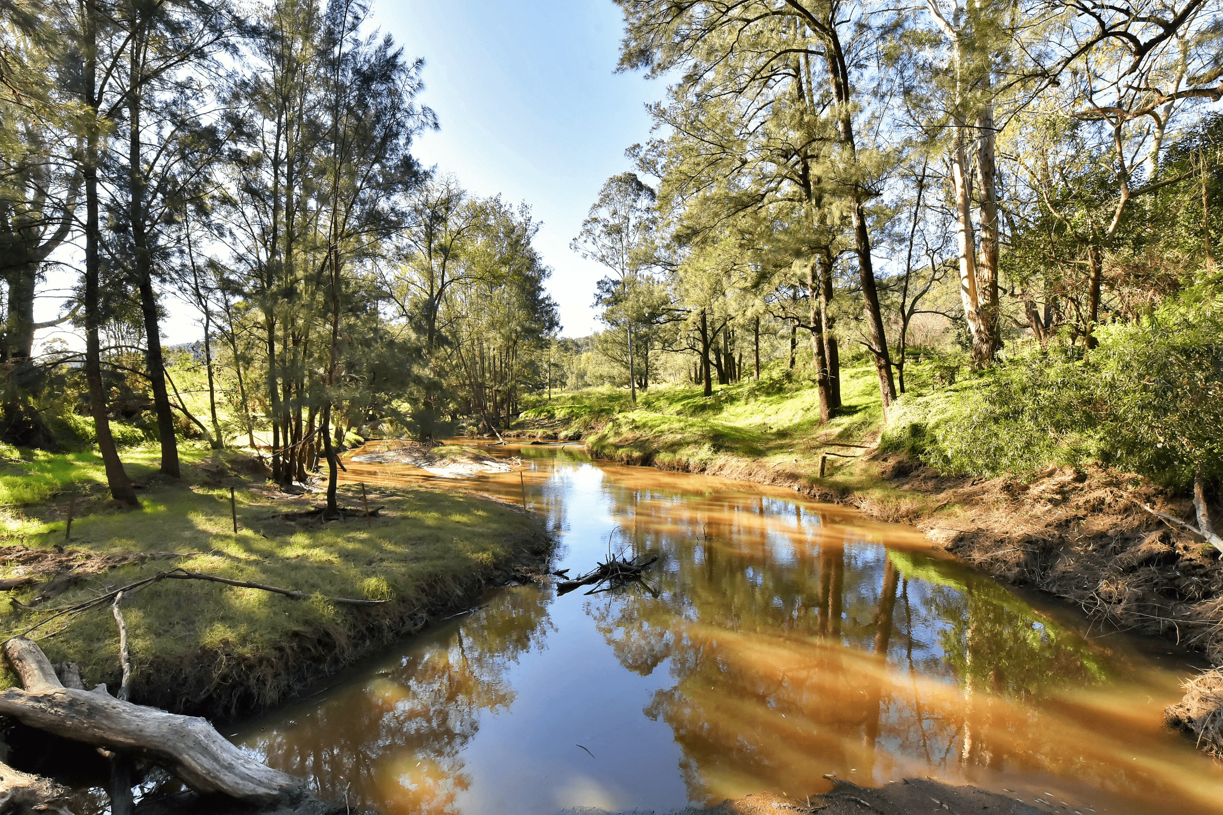 1882 Wollombi Road, Sweetmans Creek, NSW 2325