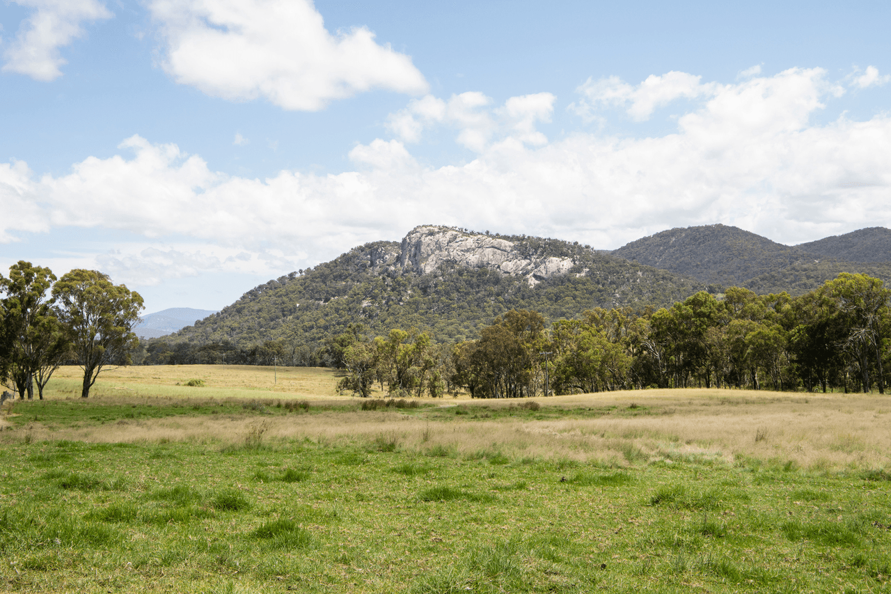 8038 New England Highway, TENTERFIELD, NSW 2372