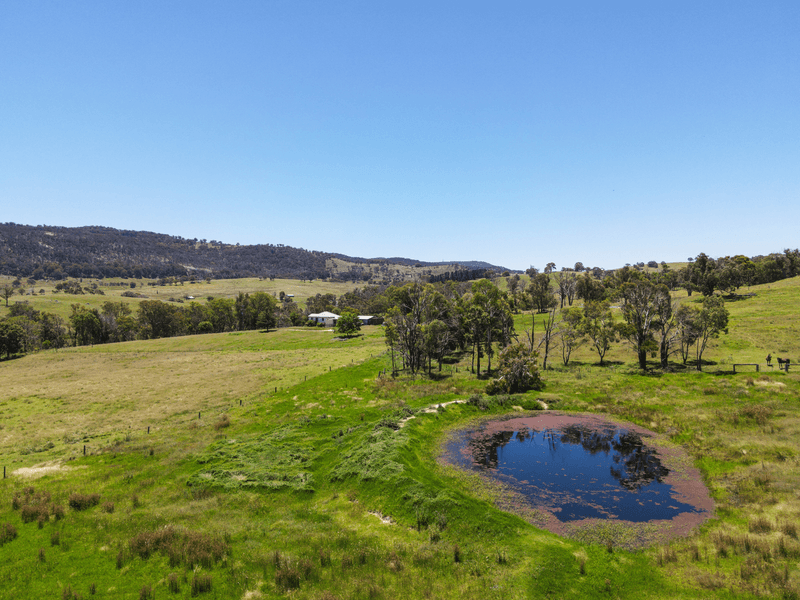 8038 New England Highway, TENTERFIELD, NSW 2372