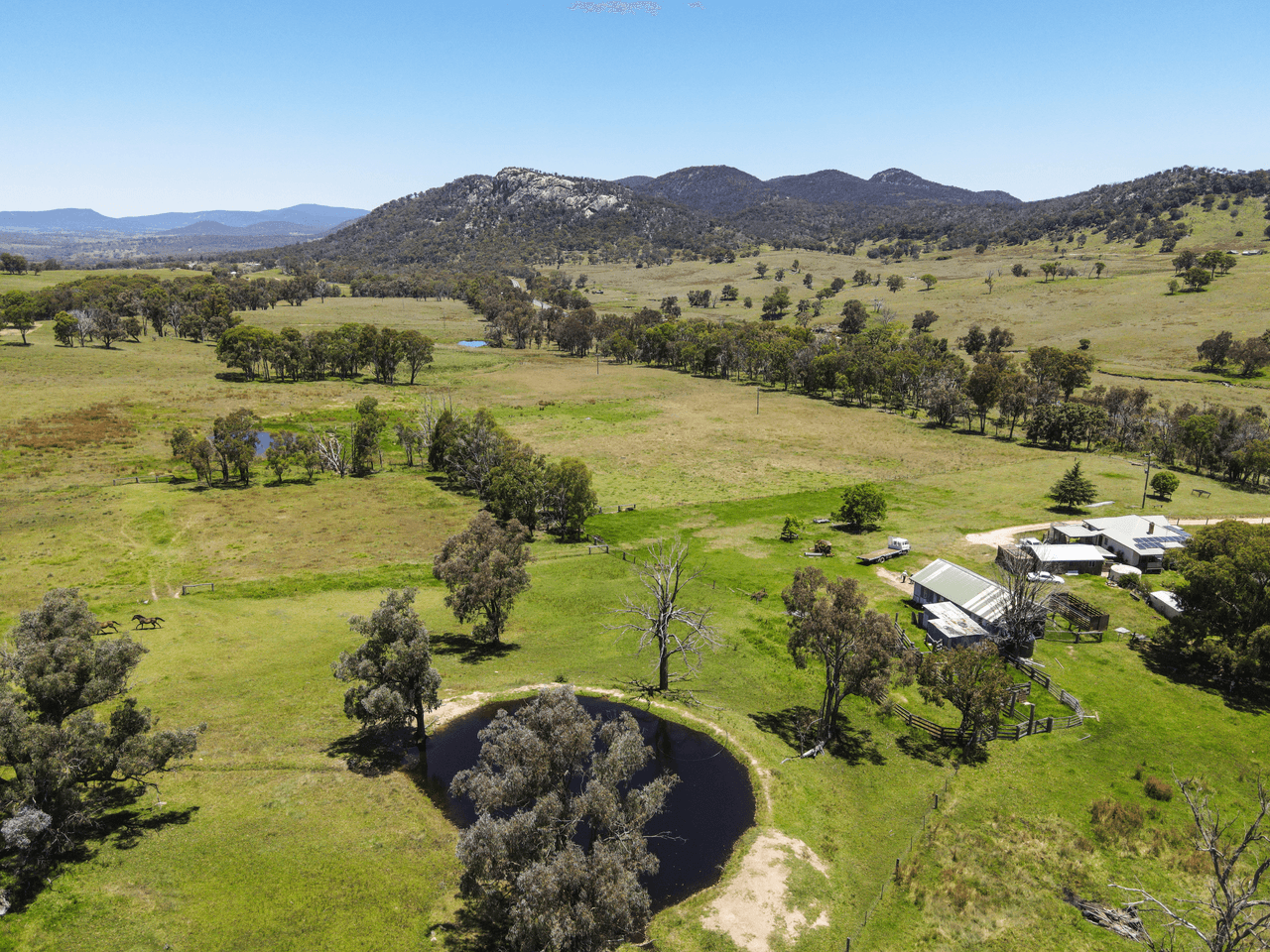 8038 New England Highway, TENTERFIELD, NSW 2372