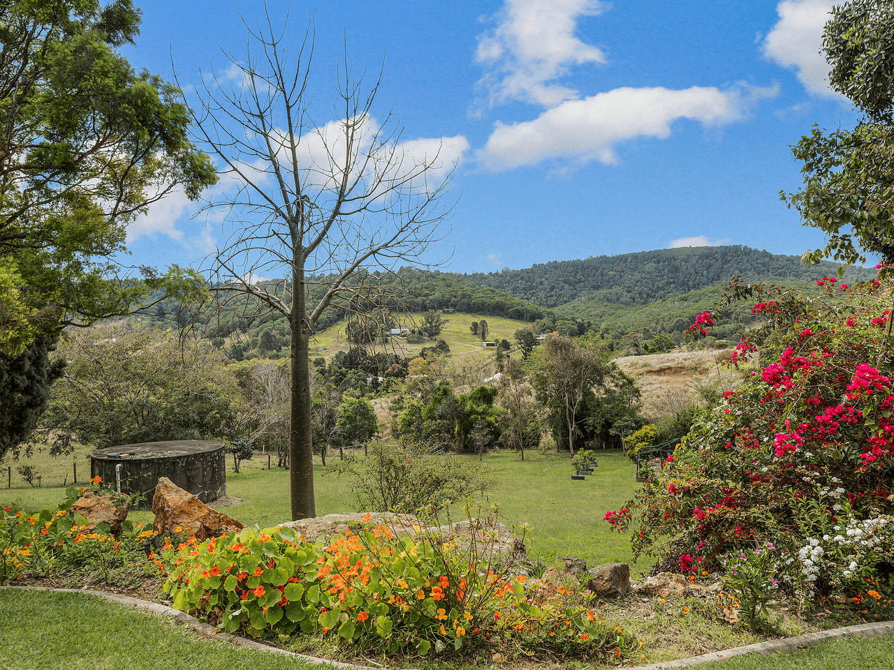 49 Stokes Road, PINE MOUNTAIN, QLD 4306