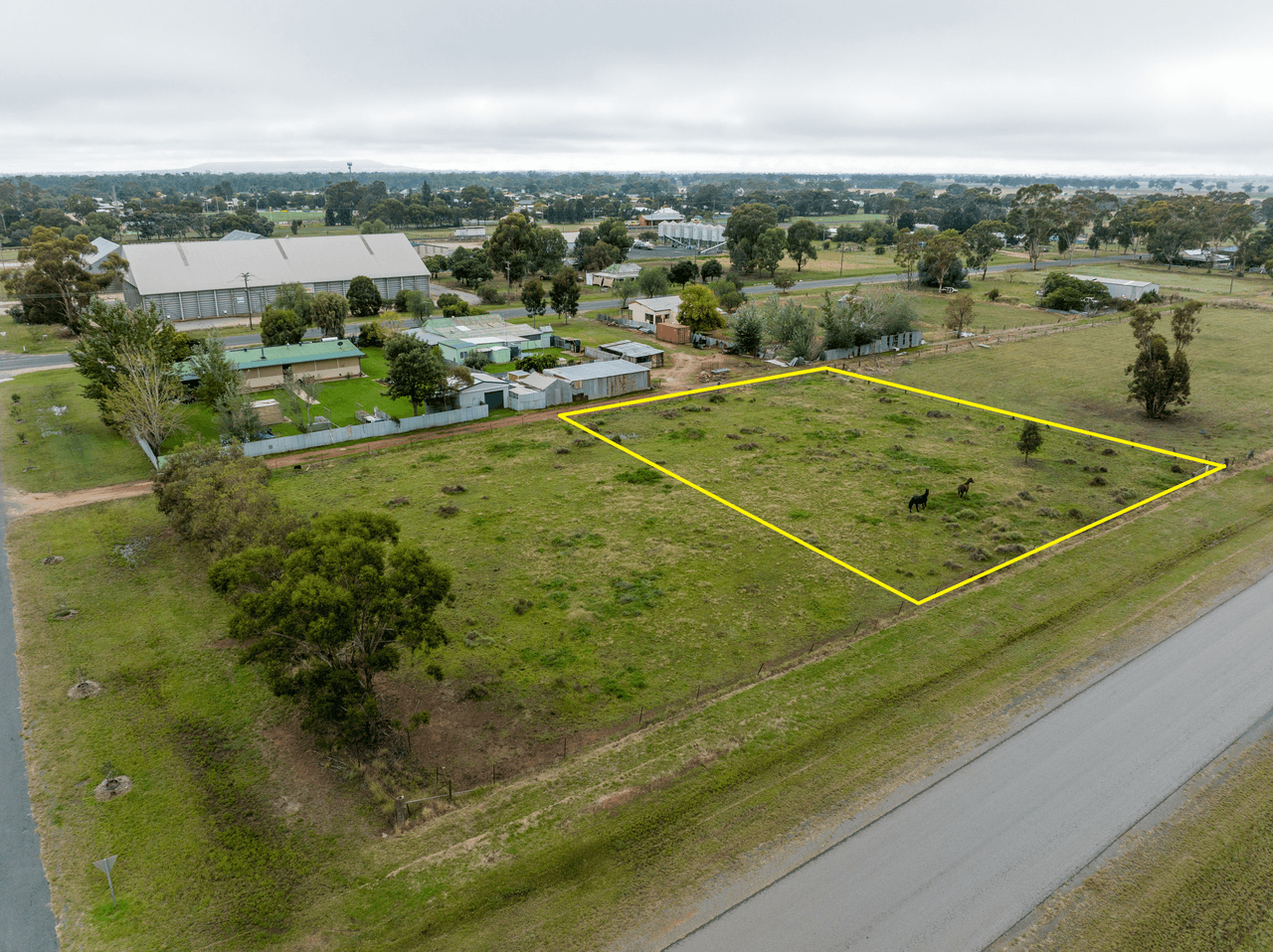 49 Federal Street, LOCKHART, NSW 2656