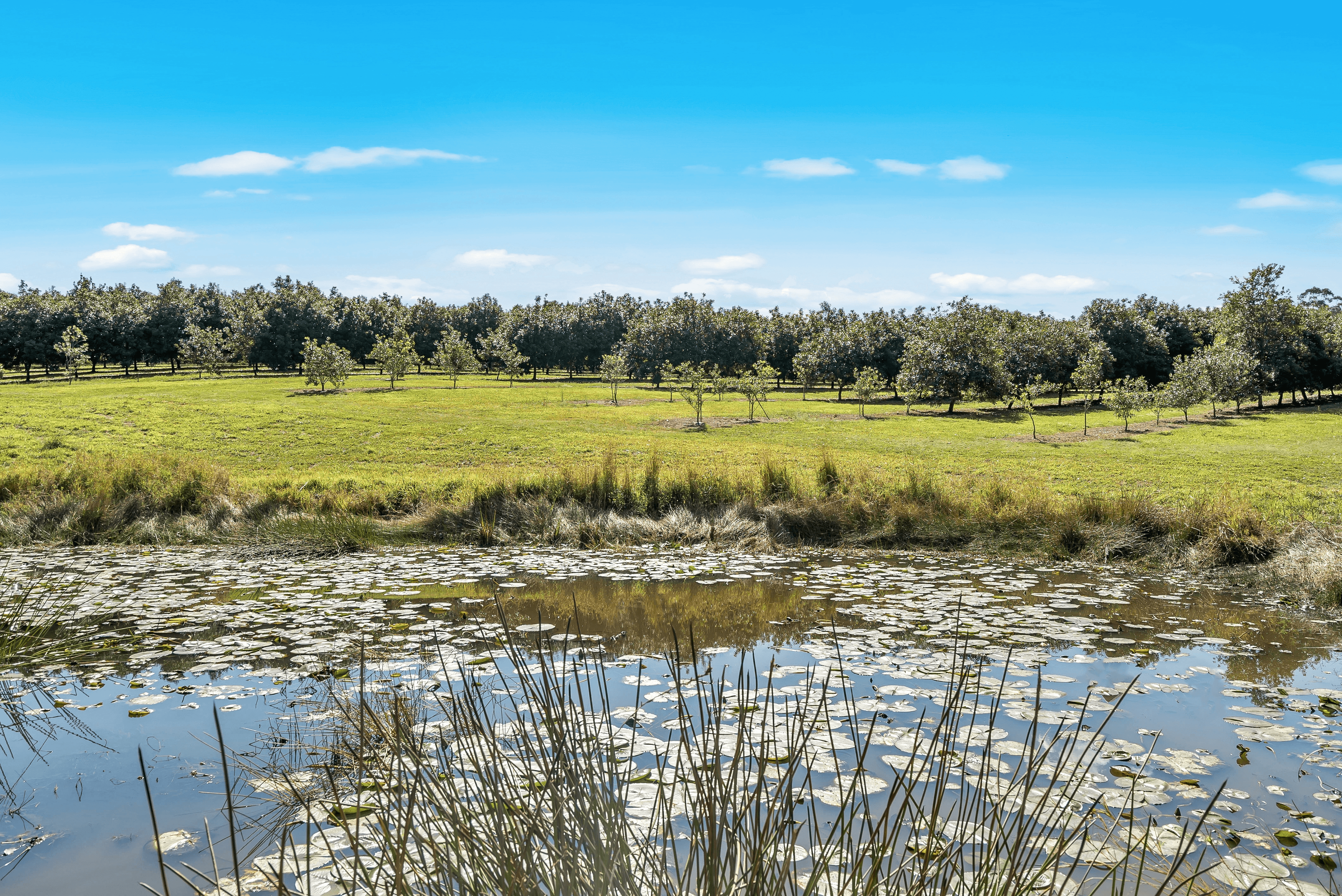 Pacific Highway, Eungai Creek, NSW 2441