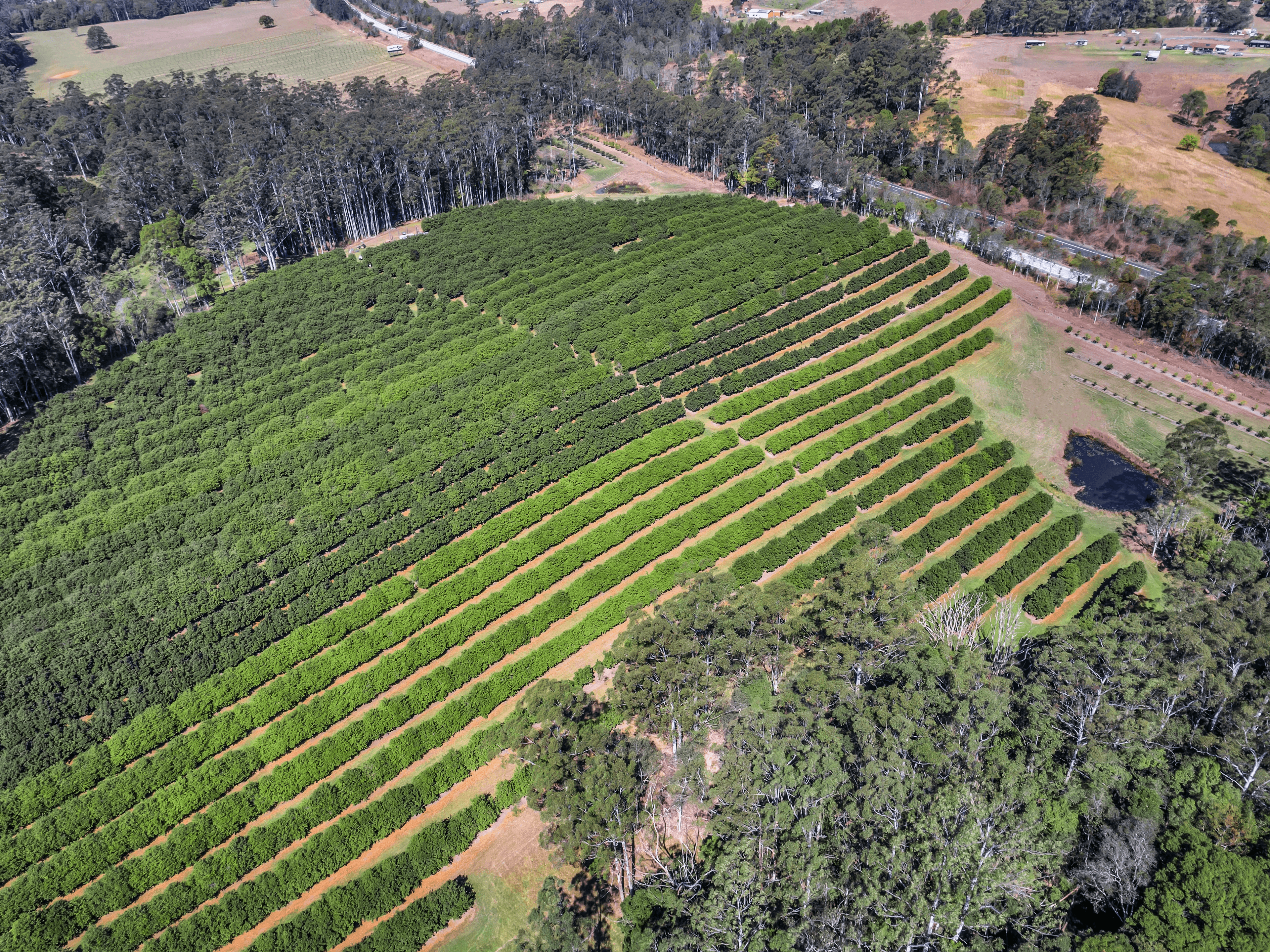 Pacific Highway, Eungai Creek, NSW 2441